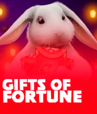 Gifts of Fortune