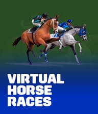 Virtual Horse Races
