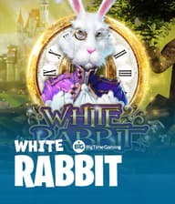 White Rabbit