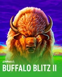 Buffalo Blitz II