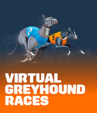Virtual Greyhound Races